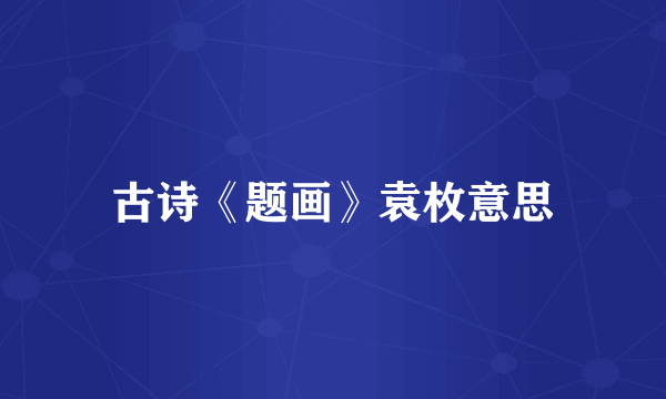 古诗《题画》袁枚意思