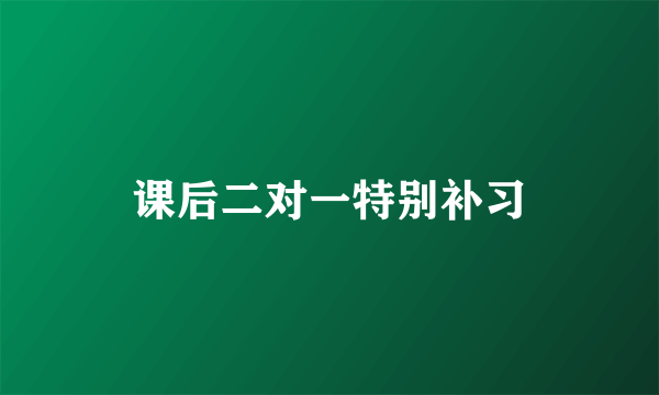 课后二对一特别补习