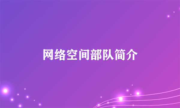 网络空间部队简介