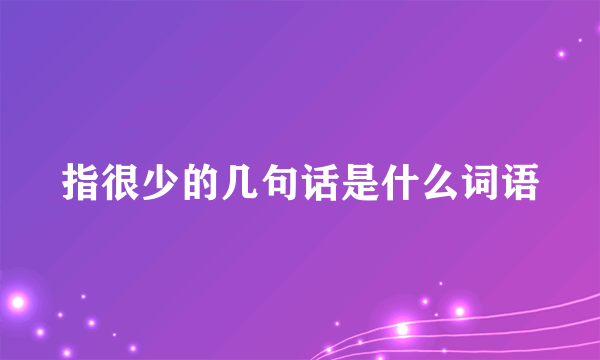 指很少的几句话是什么词语