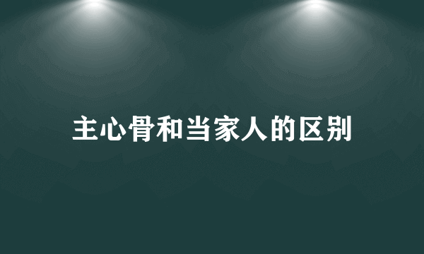 主心骨和当家人的区别