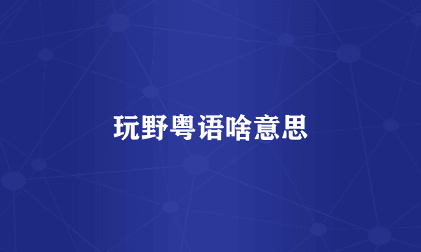 玩野粤语啥意思