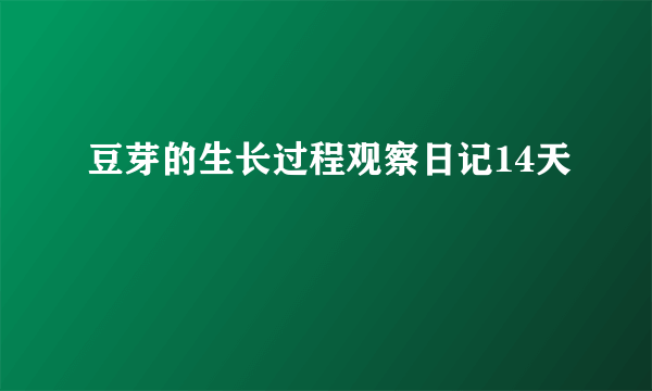 豆芽的生长过程观察日记14天