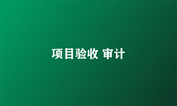 项目验收 审计