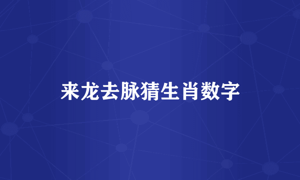 来龙去脉猜生肖数字