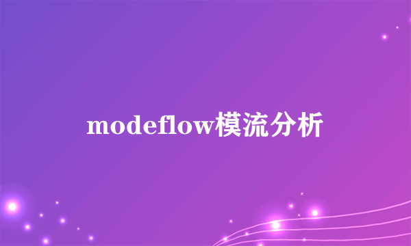 modeflow模流分析