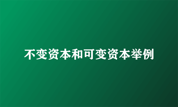 不变资本和可变资本举例