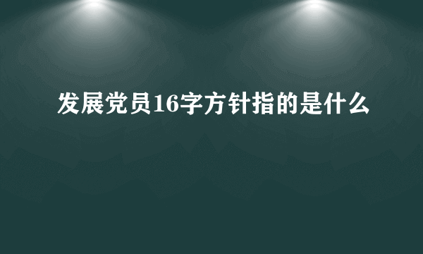 发展党员16字方针指的是什么