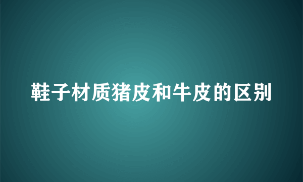 鞋子材质猪皮和牛皮的区别