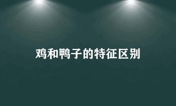 鸡和鸭子的特征区别