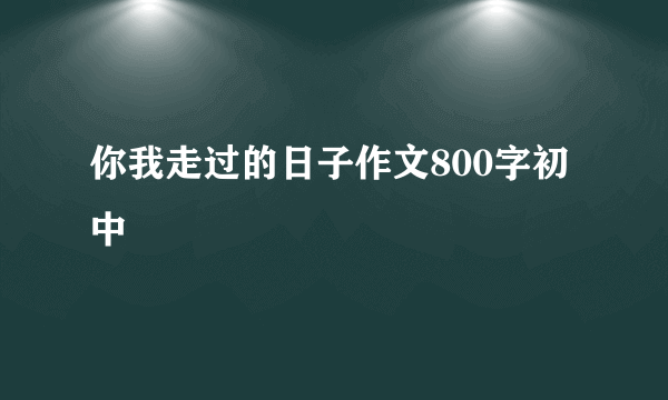 你我走过的日子作文800字初中