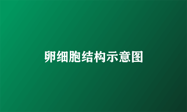 卵细胞结构示意图
