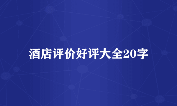 酒店评价好评大全20字
