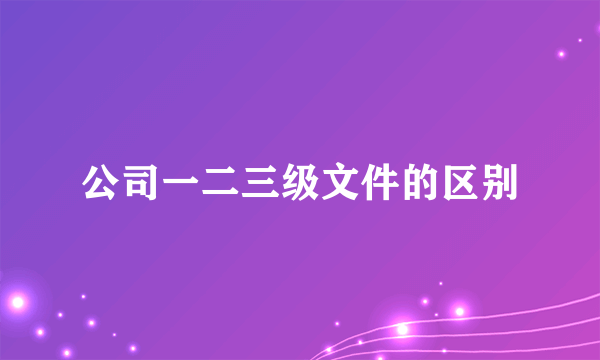 公司一二三级文件的区别