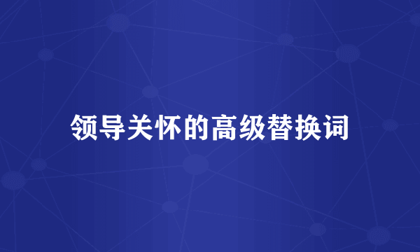 领导关怀的高级替换词