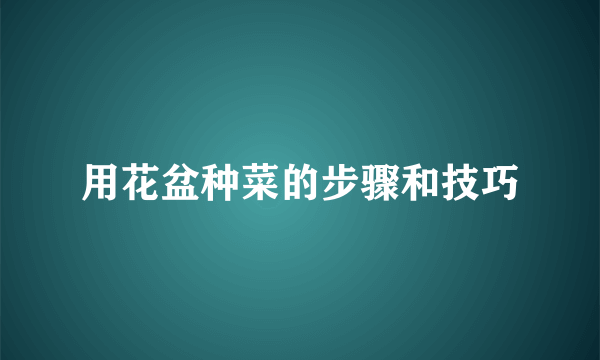用花盆种菜的步骤和技巧