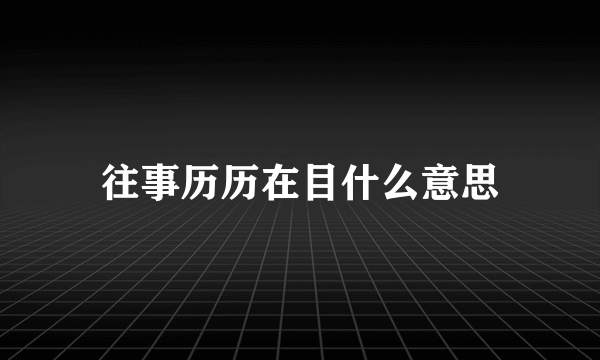 往事历历在目什么意思