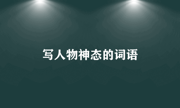 写人物神态的词语