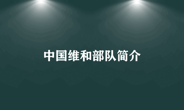 中国维和部队简介