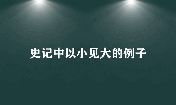 史记中以小见大的例子