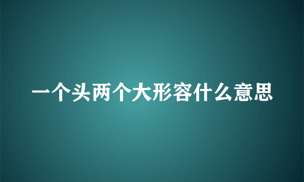 一个头两个大形容什么意思