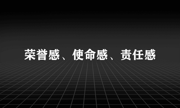 荣誉感、使命感、责任感