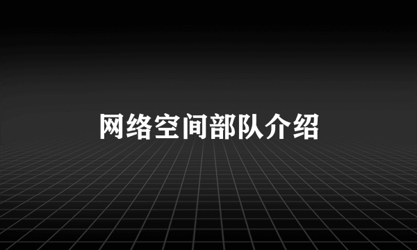 网络空间部队介绍