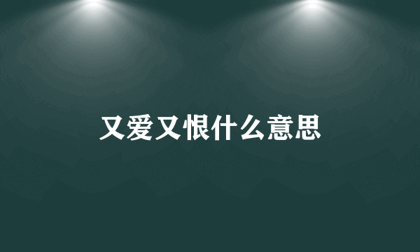 又爱又恨什么意思
