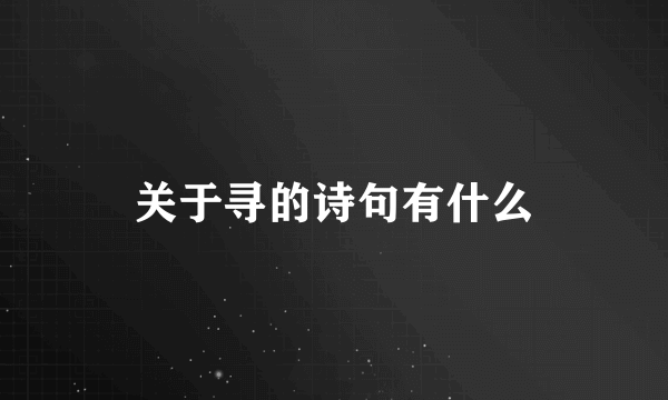 关于寻的诗句有什么