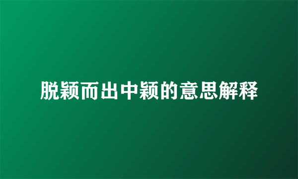 脱颖而出中颖的意思解释