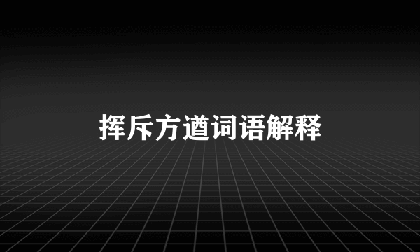 挥斥方遒词语解释