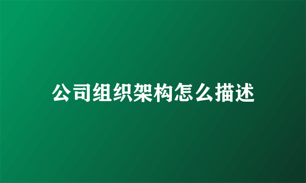 公司组织架构怎么描述