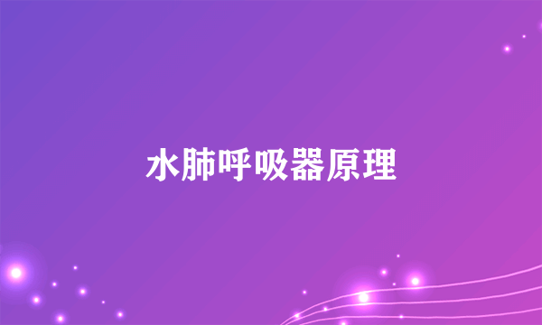 水肺呼吸器原理