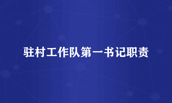 驻村工作队第一书记职责