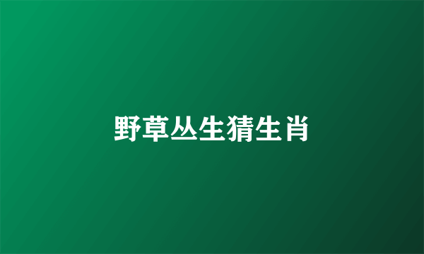 野草丛生猜生肖