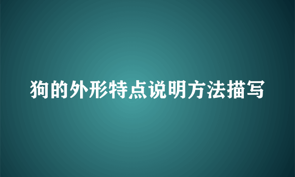 狗的外形特点说明方法描写