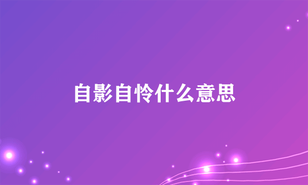 自影自怜什么意思