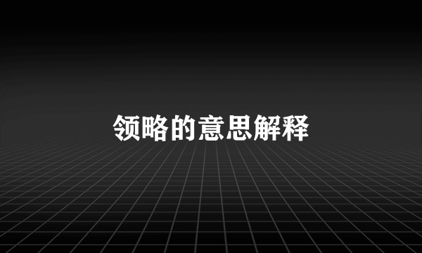 领略的意思解释