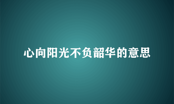 心向阳光不负韶华的意思
