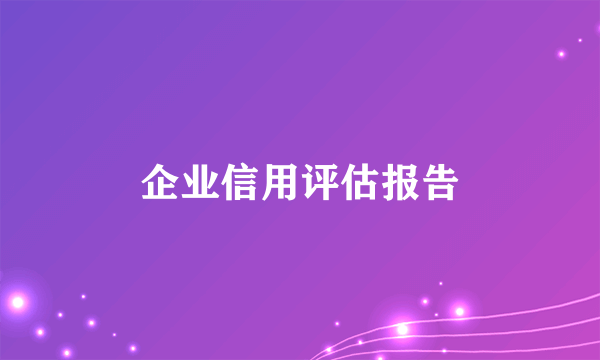 企业信用评估报告