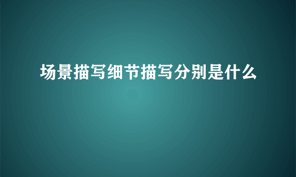 场景描写细节描写分别是什么