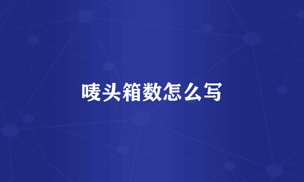 唛头箱数怎么写
