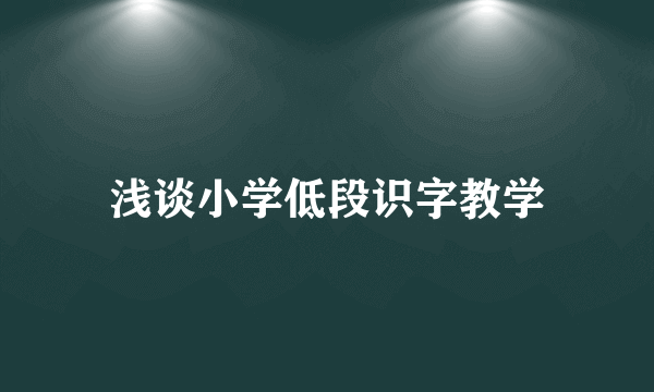 浅谈小学低段识字教学