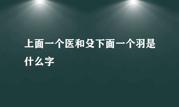 上面一个医和殳下面一个羽是什么字