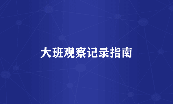 大班观察记录指南