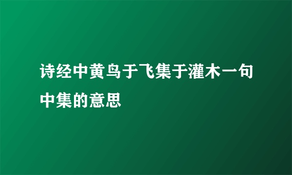 诗经中黄鸟于飞集于灌木一句中集的意思