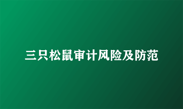 三只松鼠审计风险及防范