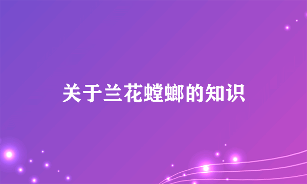 关于兰花螳螂的知识