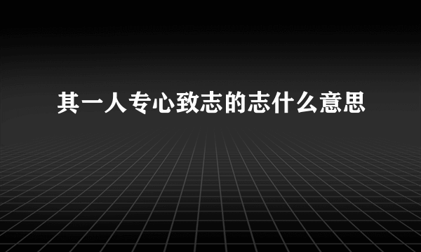 其一人专心致志的志什么意思