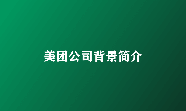 美团公司背景简介
